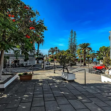 Vistas Al Teide Y Al Mar 4 Puerto de la Cruz (Tenerife)