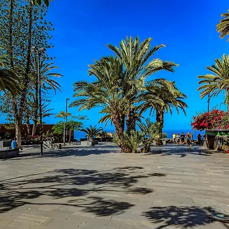Vistas Al Teide Y Al Mar 4