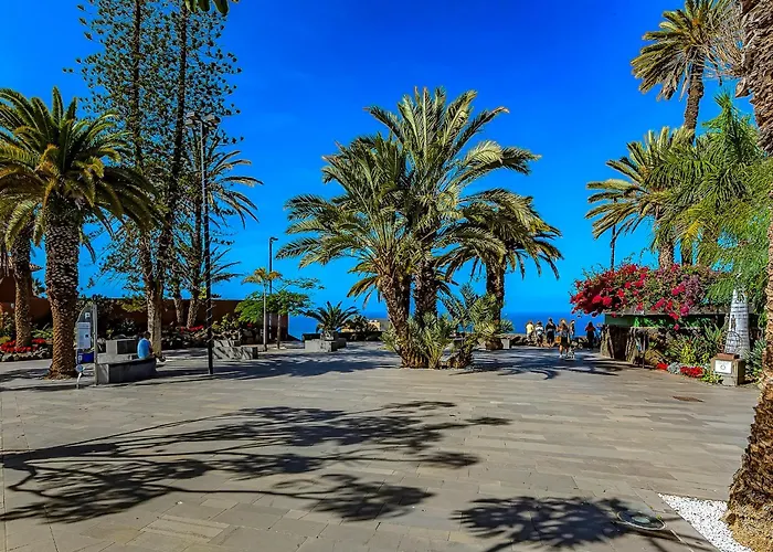 Vistas Al Teide Y Al Mar 4